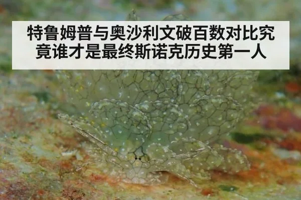 特鲁姆普与奥沙利文破百数对比究竟谁才是最终斯诺克历史第一人